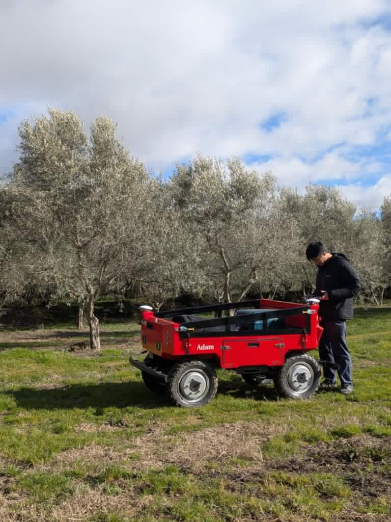 PXL 20260204 140924871 1 768x1024 1