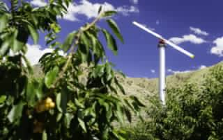 orcahrd 2 1024x683 1